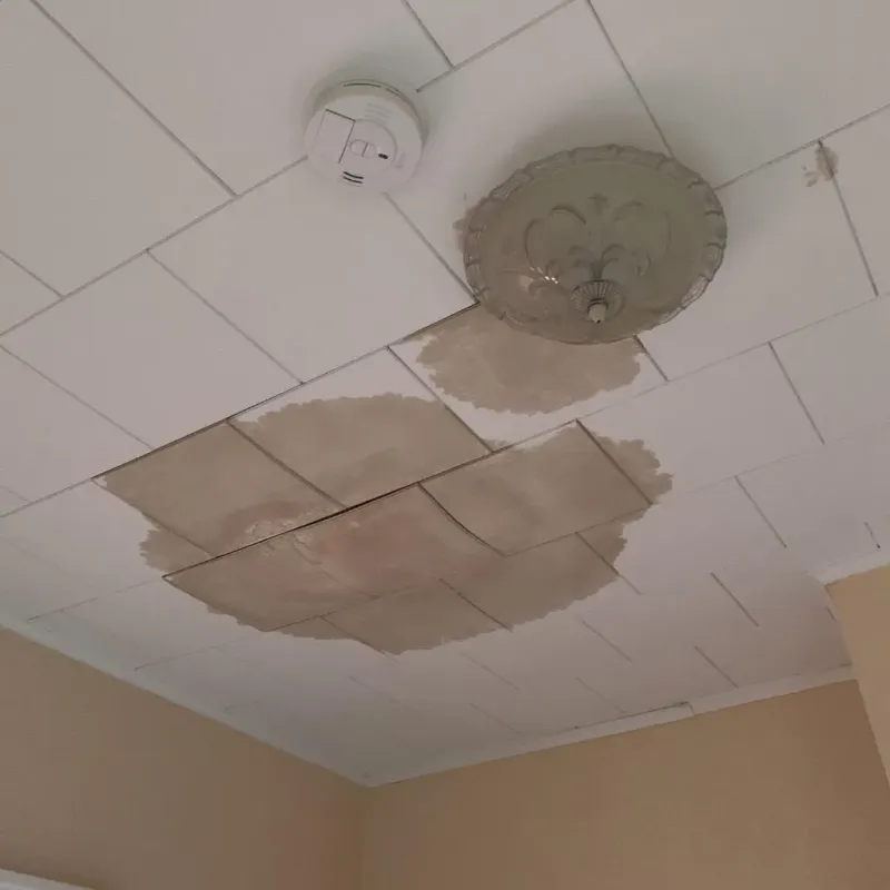 Ceiling Water Damage Repair in Catlin, IL