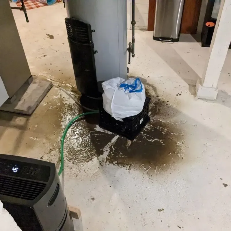 Sewage Backup Cleanup Service in Catlin, IL